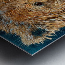 IMG 3733 colorful grizzly bear head Metal print