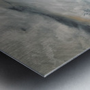 IMG 4224 Grizzly bears splashing in the water Metal print