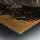 IMG 4232 Mountain man blue eyed horse Metal print