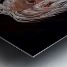 IMG 4205 Old cowboy holding his hat up Metal print