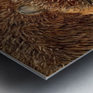 IMG 4317 - Old man And his grizzly bear Metal print