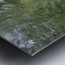 Peaceful Autumnal Forest Trail                                                                                                                      Metal print