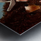 IMG 4146 mountain Man bear and rabbit Metal print