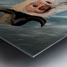 IMG 4152 Old mountain man on a stump Metal print