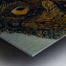 IMG 4303. grizzly bear and a cub Metal print