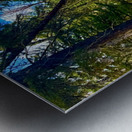 IMG 4401 brilliant colors Metal print