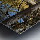 IMG 4378 landscape with colors Metal print