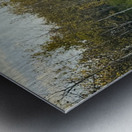 IMG 4250 Orange sun going down in the trees Metal print