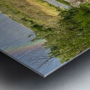 IMG 2070 bull cow Under the rainbow Metal print