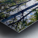 IMG 2143 Light through the aspens Metal print