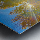 IMG 2250 bright rays of light in the aspens Metal print