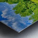 IMG 4039 Green grass purple flowers blue sky Metal print