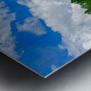 IMG 4041 wildflowers and Aspen trees Metal print