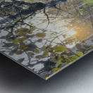 IMG 4252.sun going down in the aspens Metal print