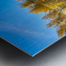 IMG 2247  Beautiful fall day Metal print