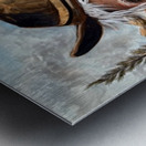 IMG 4202 Mount Man getting away from bear and wolf fight Metal print