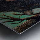 IMG 4200 winter is coming for the lonely black bear Metal print