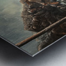 IMG  Mount Man found a way to get on a Cow moose Metal print