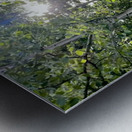 IMG 2048 White light through the Aspen trees Metal print