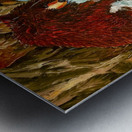 IMG 0310 -fisherman grizzly bear rainbow  trout Metal print