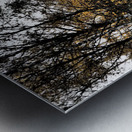  Scottish Highlands Autumnal Nature Trail                                                                                                                     Metal print