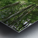 Light and Shadow on a Scottish Highlands Trail                                                                                                                      Metal print