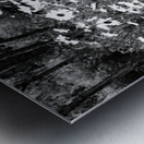  Scottish Highlands Monochrome Daises                                                                                                                     Metal print