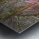 Galloping Horse Metal print