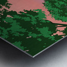 Amazon River  Metal print