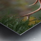 The Crowned Prince Metal print