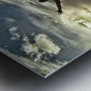 Top of the world Metal print