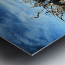 Eroticism at Driftwood Beach on Jekyll Island Metal print