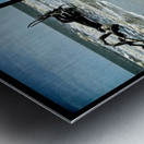 Driftwood Beach Panorama Quadtych Metal print