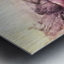 The Balance Metal print
