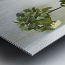 monogram art  YIMTZA   -FOR DISPLAY ONLY Impression metal