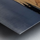 Dunes shorter 01 Metal print