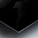 HR9_9275 Metal print