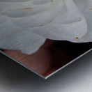 Camelia Metal print