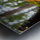 mushroom in the forest Metal print