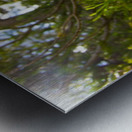 forest floor Metal print