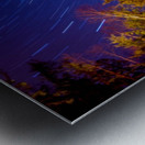 forest star trails  Metal print