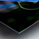 Himalayan Poppy Metal print