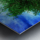 The Katahdin Tree Metal print