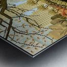 Central Park Metal print