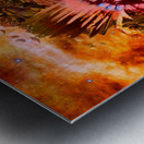 Native American Magical dream Metal print