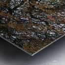 Telephone Box Metal print