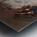 Land of Ice Metal print