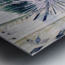 Dent-de-lion Metal print