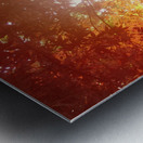 Autumn Leaves Metal print