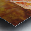 Fallen Metal print